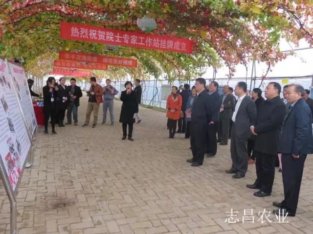 汇聚巾帼力量 助力精准扶贫 --全市行业社会扶贫现场会在公司召开(图1)