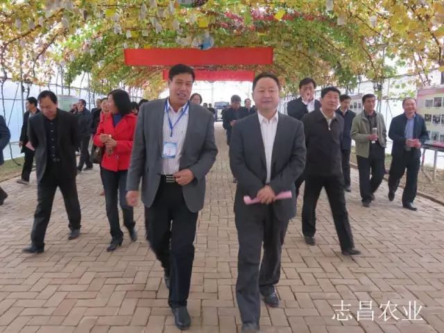 汇聚巾帼力量 助力精准扶贫 --全市行业社会扶贫现场会在公司召开(图5)